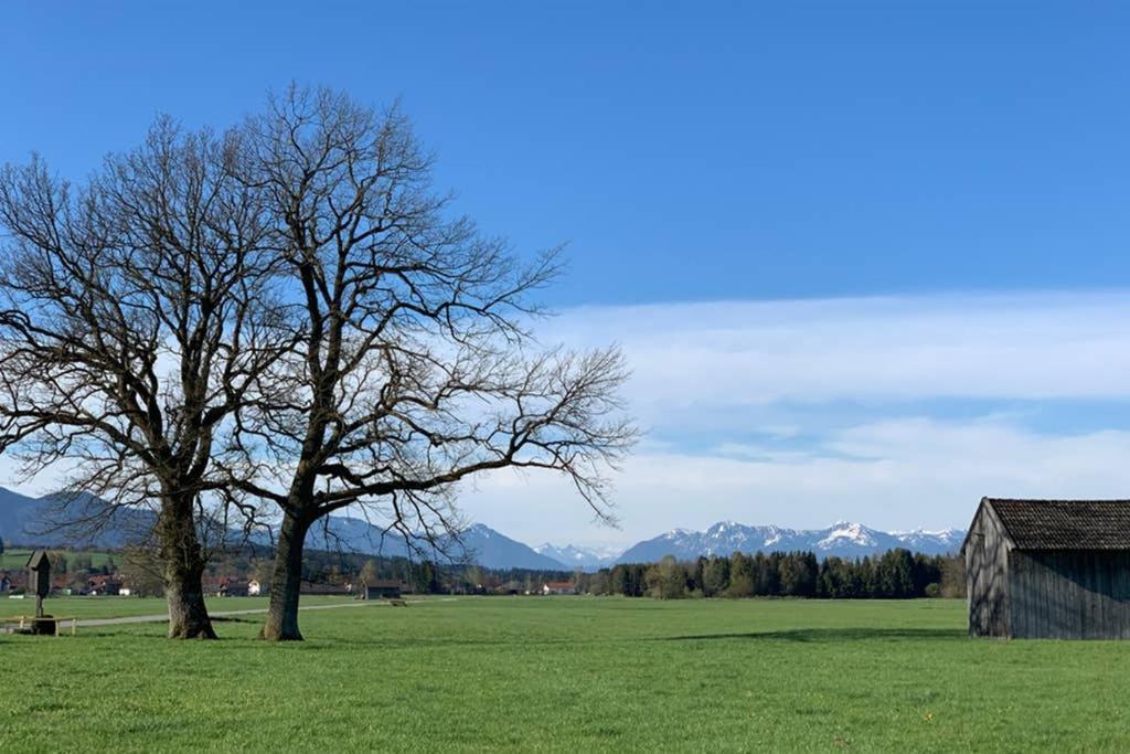 Ferienhaus Koenigsdorf - Urlaub Im Toelzer Land Konigsdorf Buitenkant foto